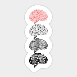 Dark Matter = Grey Matter Sticker